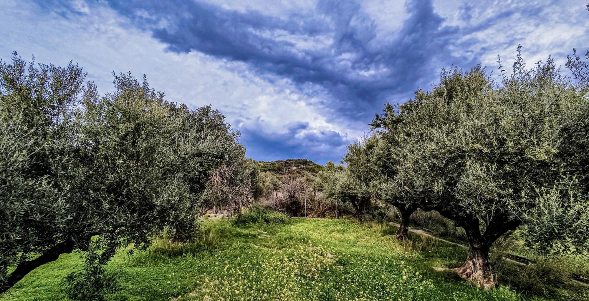 Your Spot West Peloponnese Shared Countryhouse Zacharo Exteriér fotografie