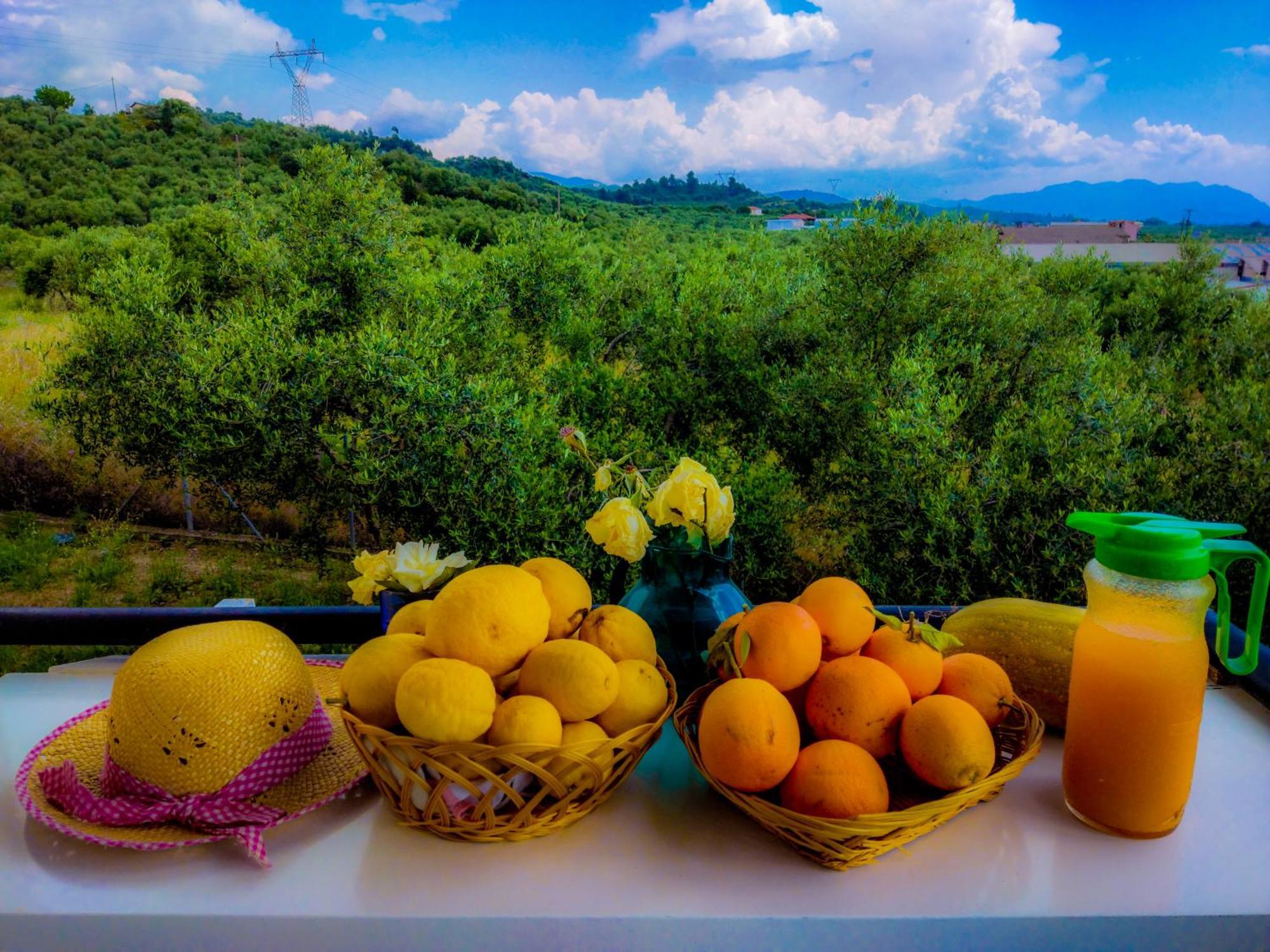 Your Spot West Peloponnese Shared Countryhouse Zacharo Exteriér fotografie