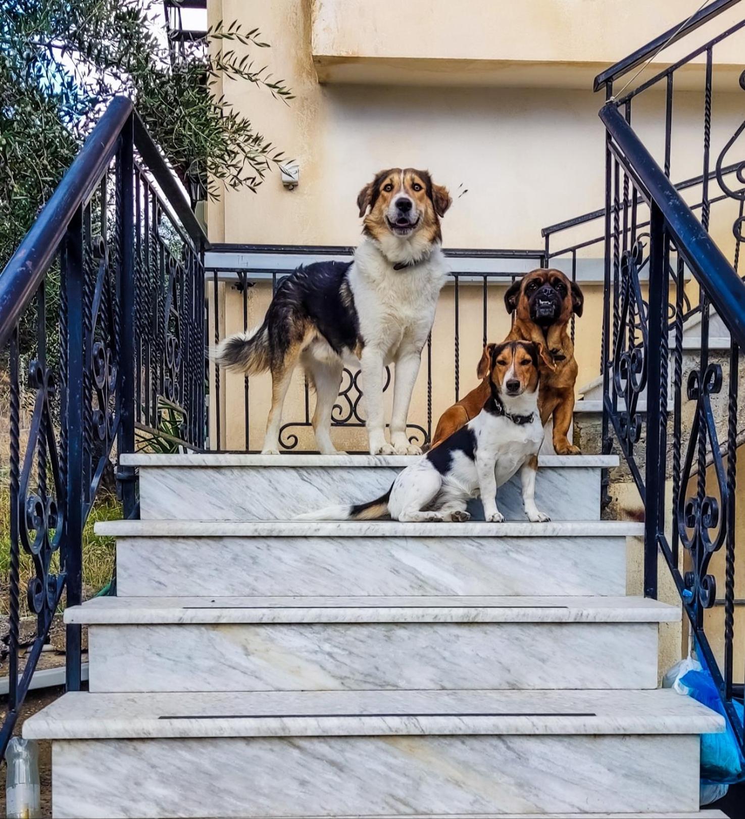 Your Spot West Peloponnese Shared Countryhouse Zacharo Exteriér fotografie